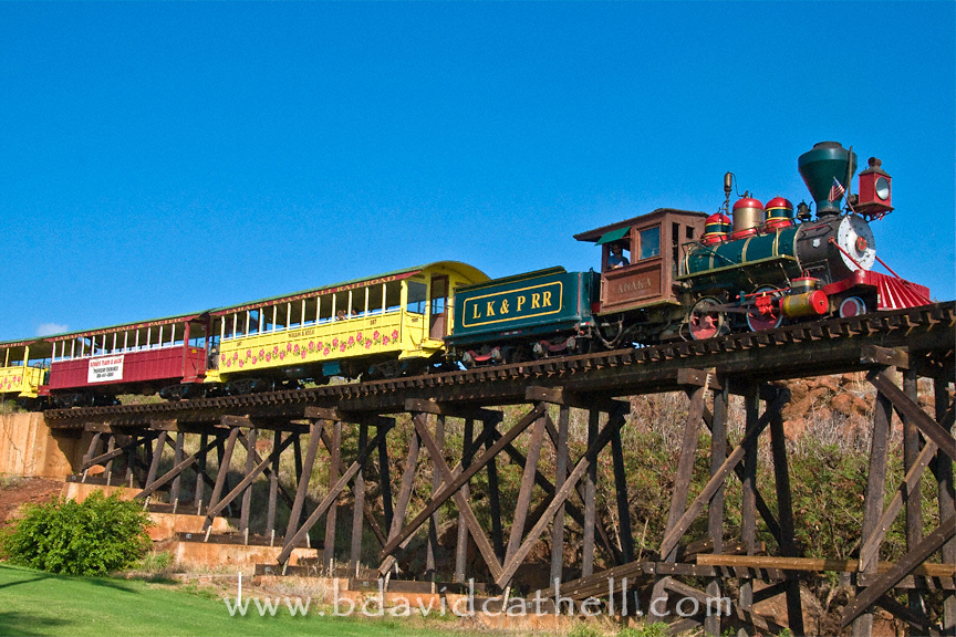 Sugar Cane Train
